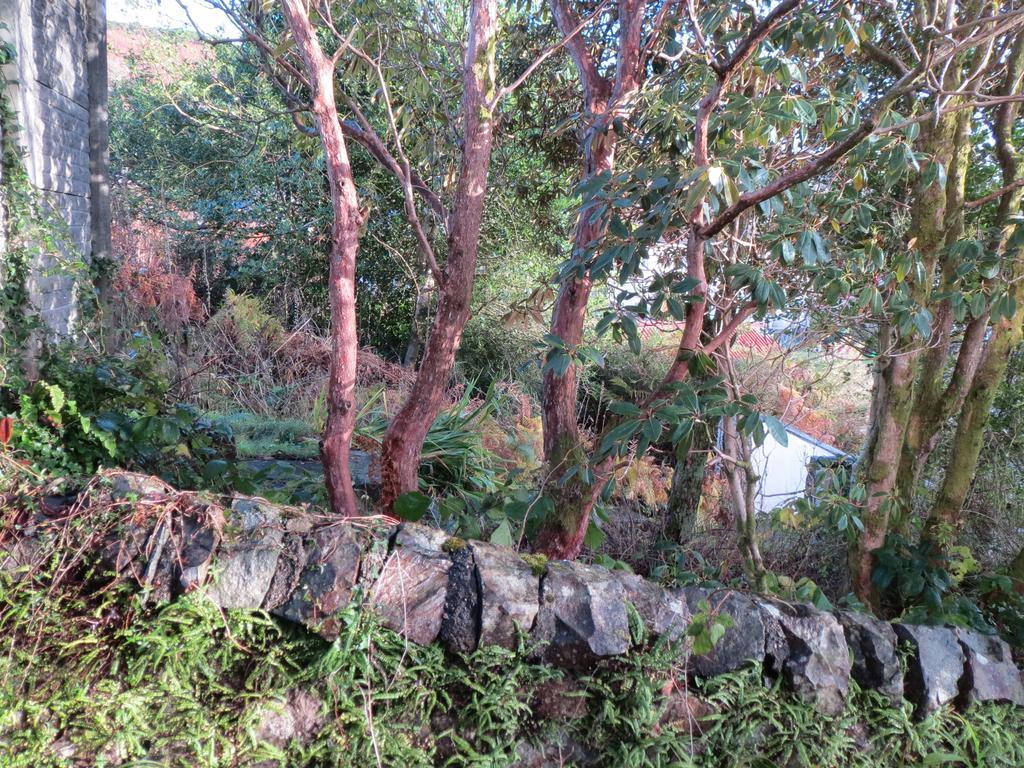 Elmbank Garden Apartment Oban Room photo